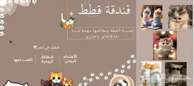 فندق قطط ترويش قطط 1