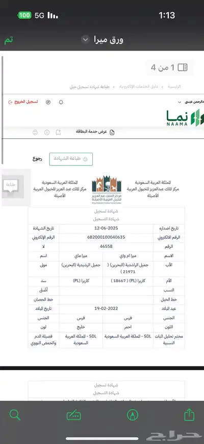 فرس عربيه واهو 0