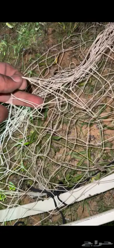 شبكة صيد حمام 1