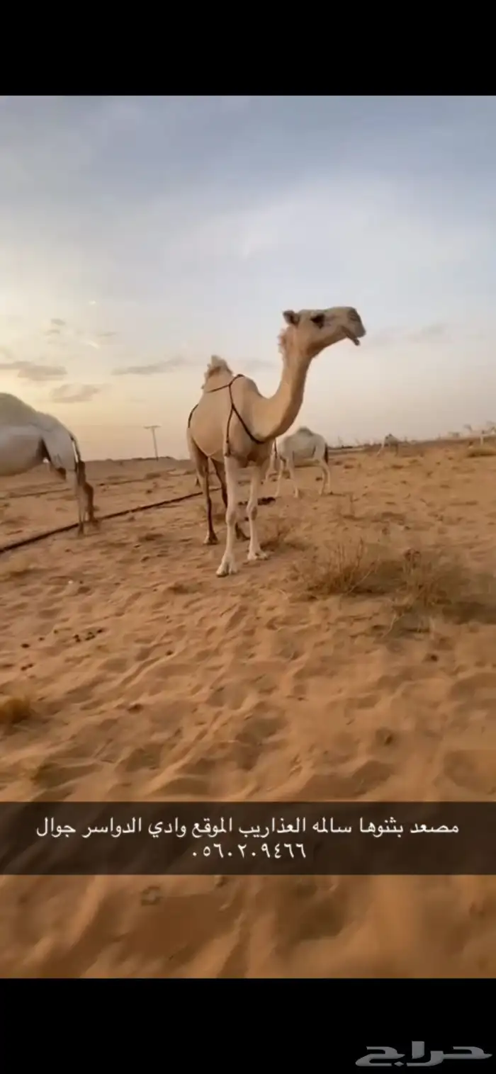 مصعد 2