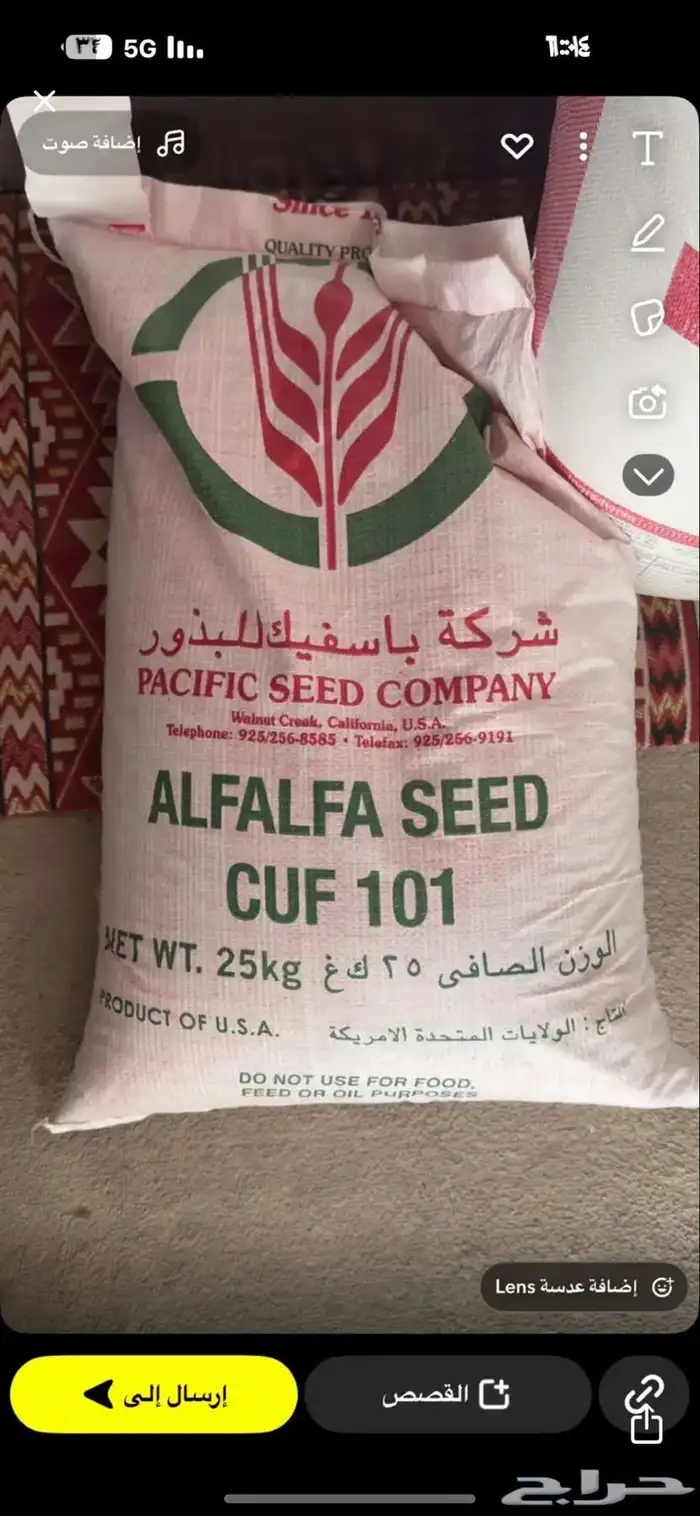 للبيع بذور 0