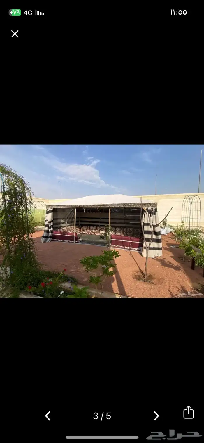 خيمة نجد بدون حبال وعمدان في الوسط 4