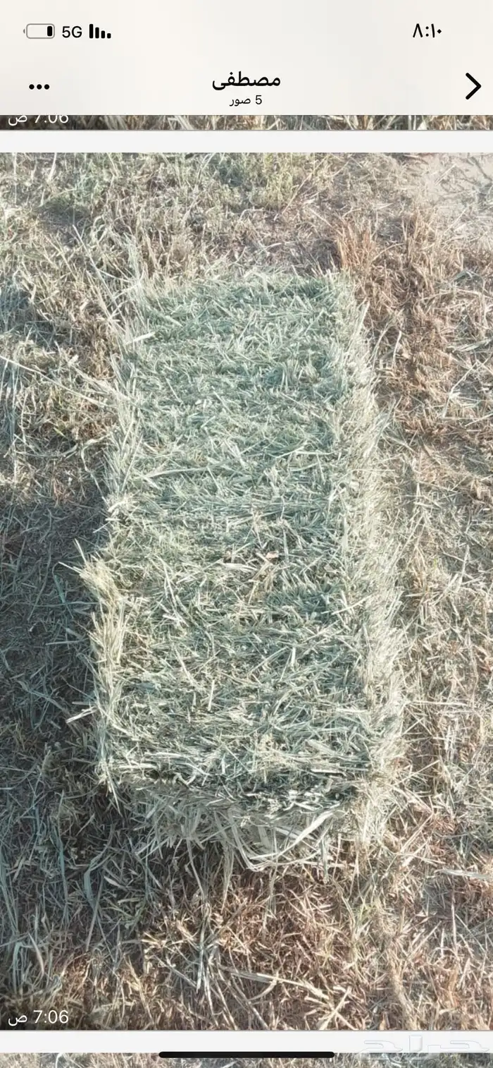 الصالحيه 2