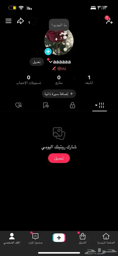 يوزر تيك توك ثنائي 0