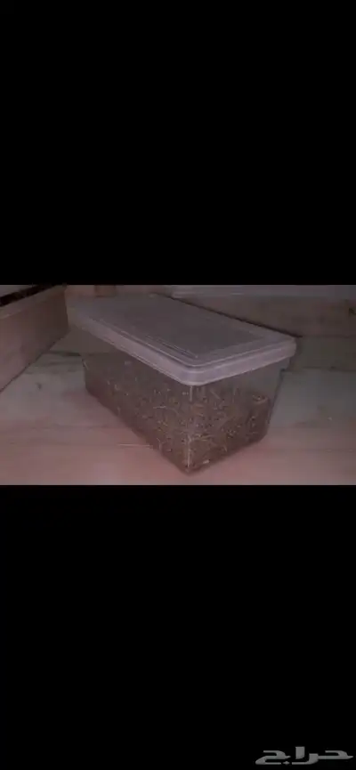 هامستر مع جميع اغراضه اليف 4