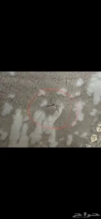 تلفزيون ناشونال ياباني قديم مره 7