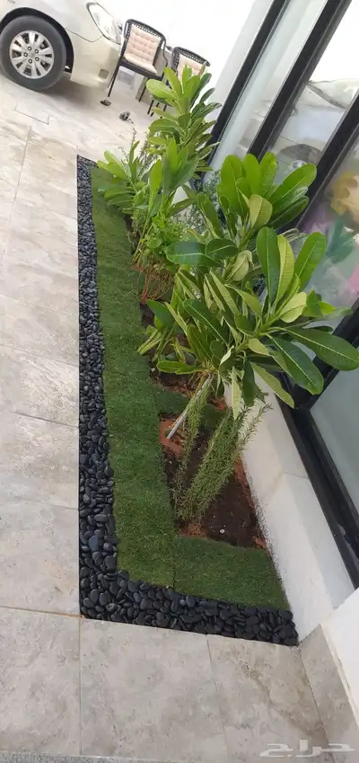 تثيل نجيله طبيعي 18