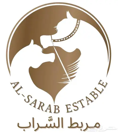 مربط خيل 0