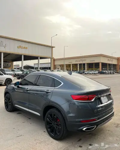 جيلي توجيلا 2022 0