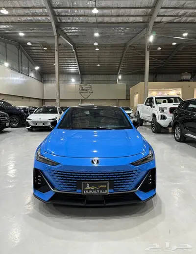 شانجان يوني في 2023 0