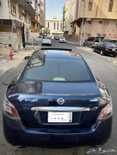 مكسيما 2014 1