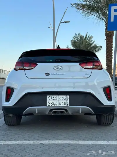 فيلوستر قمة النظافه مخزنه 0