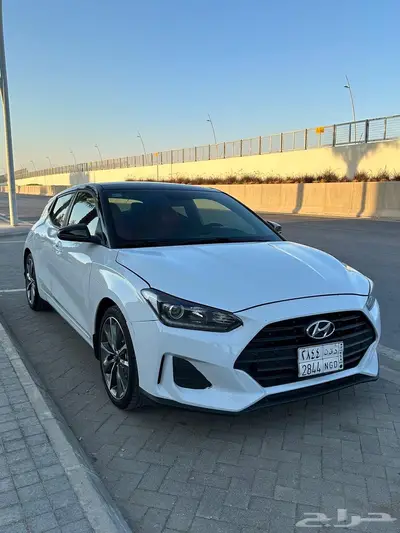 فيلوستر قمة النظافه مخزنه 5