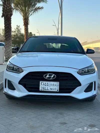 فيلوستر قمة النظافه مخزنه 2