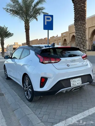 فيلوستر قمة النظافه مخزنه 1