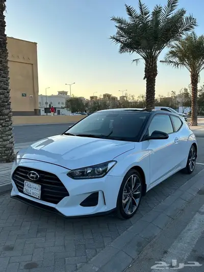 فيلوستر قمة النظافه مخزنه 9
