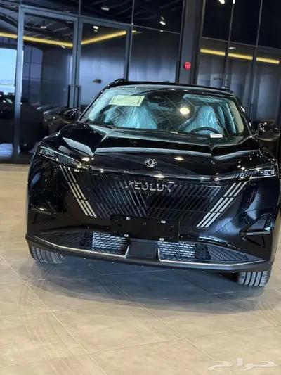 دونج فينج ميج 2025 24