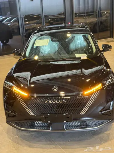 دونج فينج ميج 2025 19