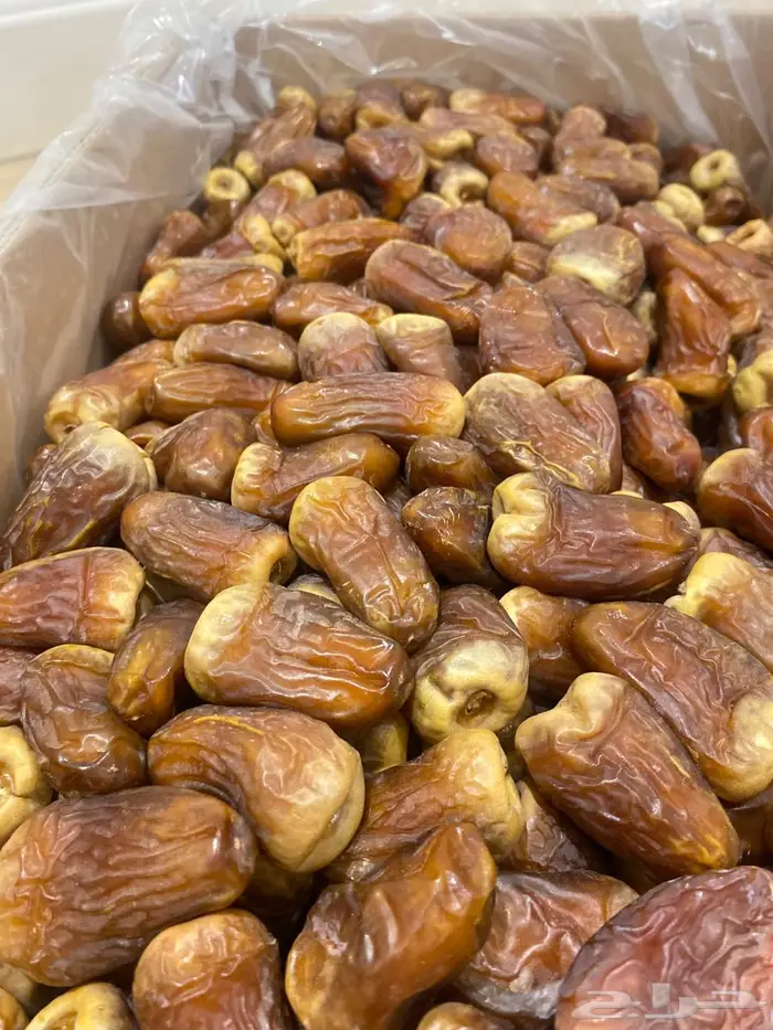برني العيص الفاخر 0