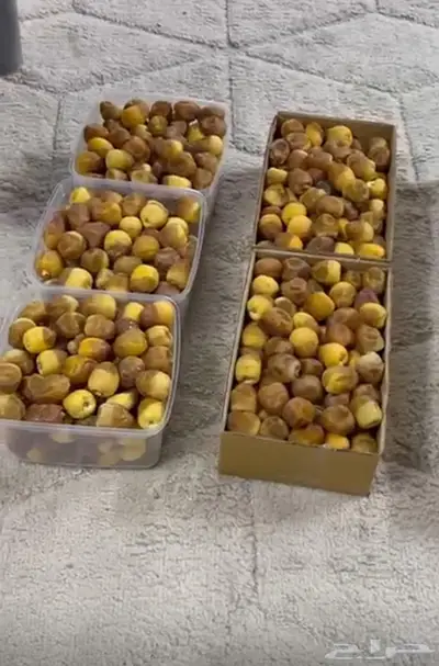 رطب فاخر نبوت سيف و سكري 0