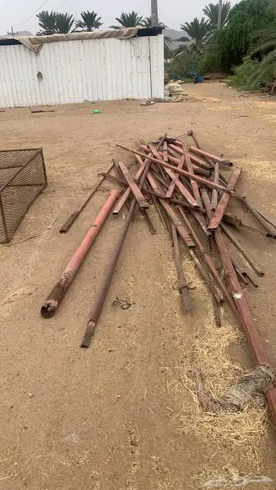 شبوك مع مرابيع هنقر الهل الحلال و2 شبك دجاج 6