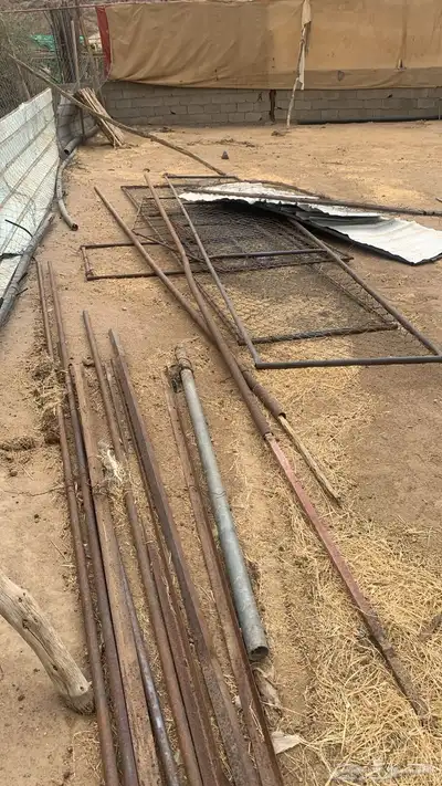 شبوك مع مرابيع هنقر الهل الحلال و2 شبك دجاج 4