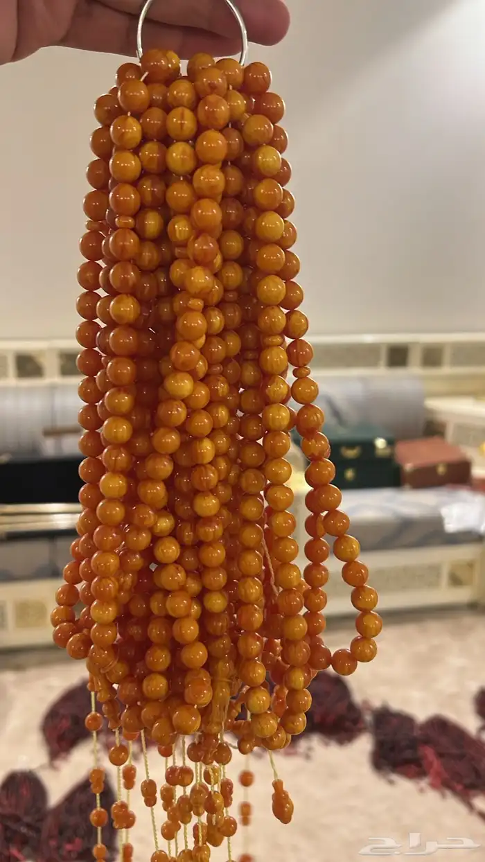 توفرت سبح زعفران و فاتوران تركي 1