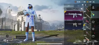 حساب ببجي للبيع فيه نوادر 13