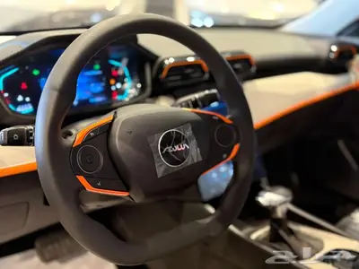 دونج فينج شاين E1 2025 11