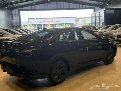 دونج فينج شاين E1 2025 5