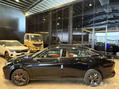 دونج فينج شاين E1 2025 14