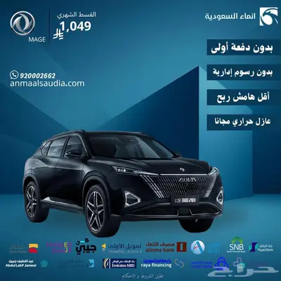 دونج فينج ميج 2025 0