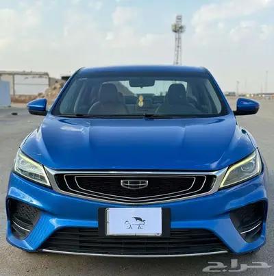 جيلي بينراي 2020 0