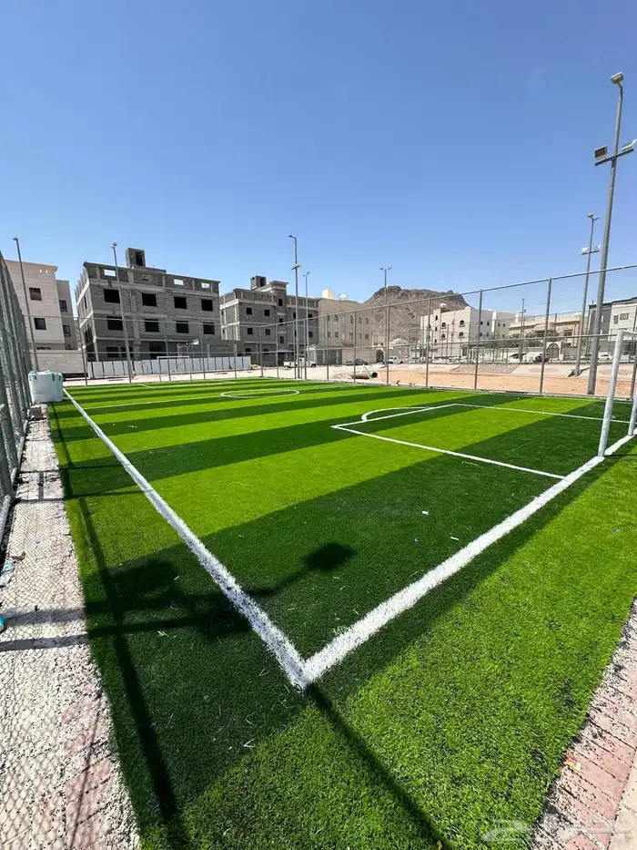 عشب ملاعب كوره قدم 5