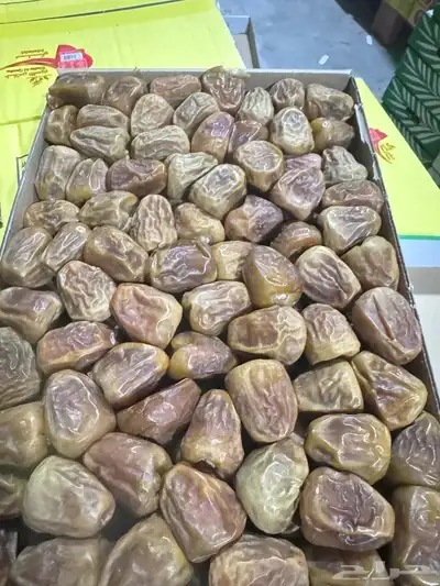 مفتل سكري بسعر طيب 0