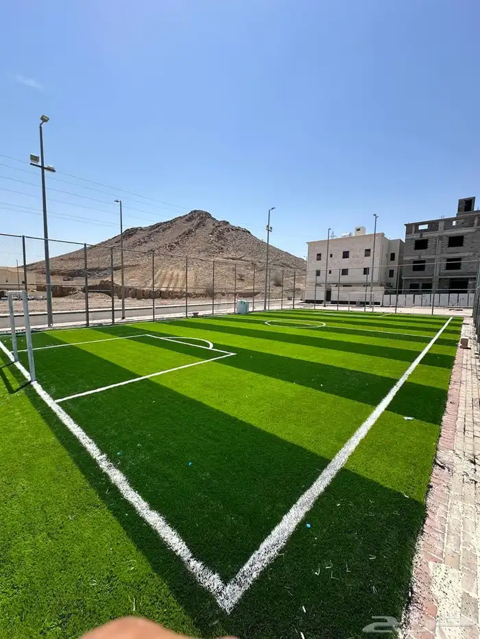 عشب ملاعب كوره قدم 3