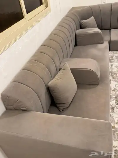مجلس زاويه 1
