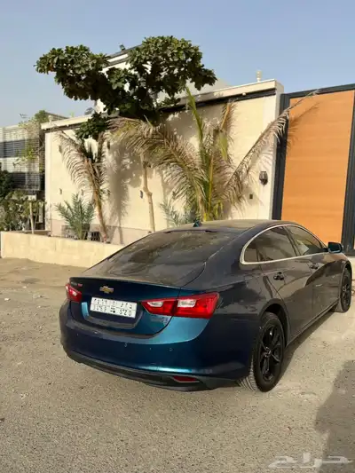 ماليبو مديل 2019 بودي بلد 7