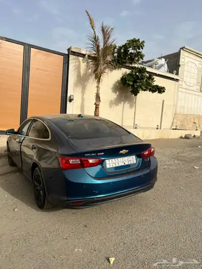 ماليبو مديل 2019 بودي بلد 8