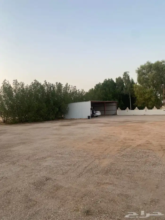 سياره 8