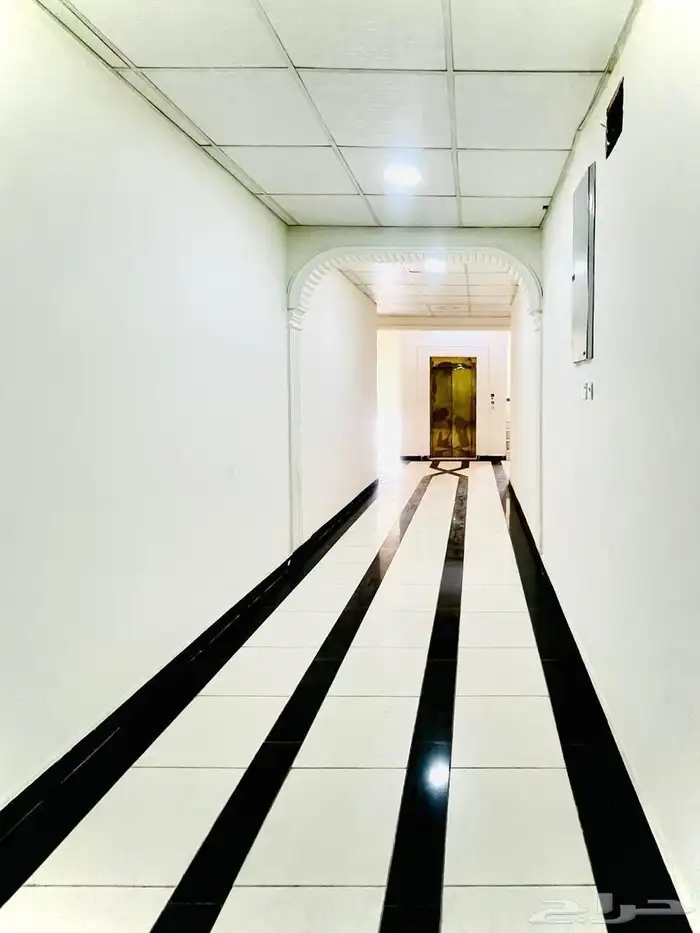للإيجار شقق عزاب ببريدة 5
