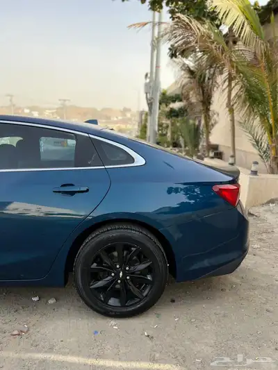 ماليبو مديل 2019 بودي بلد 2