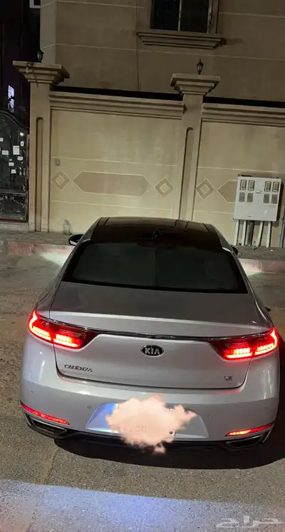 كادينزا 2019 10