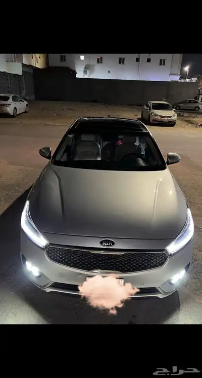 كادينزا 2019 8