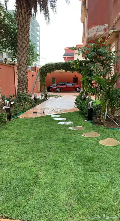 نجيله طبيعي مشروطه 9