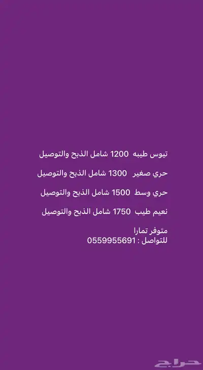 ذبايح حري ونعيمي وتيوس مخرج 36 الرياض ( متوفر تمارا ) 6