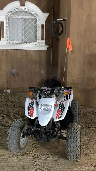 دباب سويدي للبيع 3