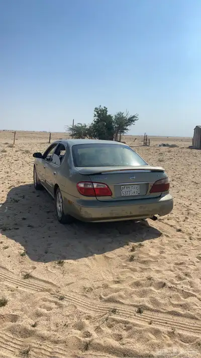 مكسيما 2002 4