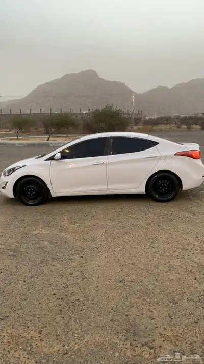 النترا 2014 8