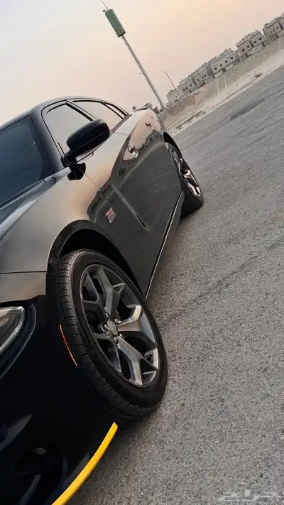 دوج تشاجر 2018 18